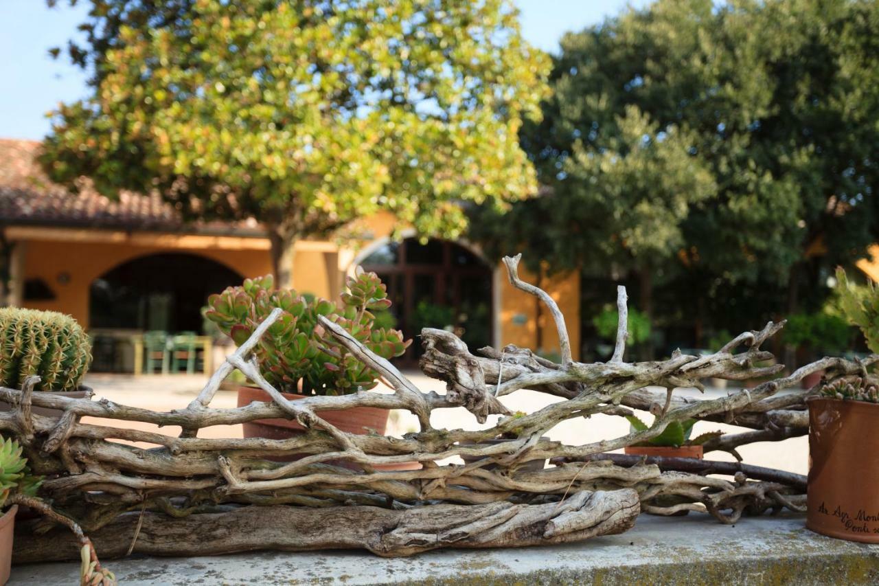 Agriturismo La Montina Ponti sul Mincio Exterior photo